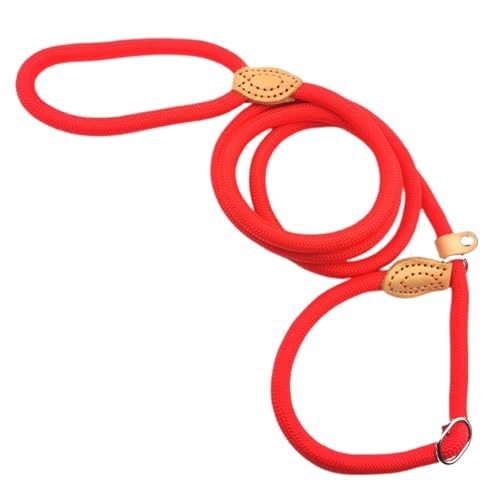 Hundeleine, strapazierfähig, geflochtenes Seil, verstellbare Schlaufe, Halsband, Trainingsleine für kleine, mittelgroße Hunde (Rot, 1,4 cm x 1,8 m) von Generisch