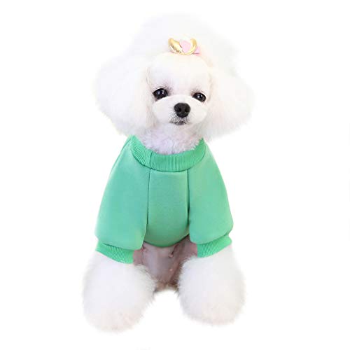 Hundepullover Mit Totenkopf Carrot Sweater Cute Dog Clothing Kleine und mittelgroße Hundehaustierkleidung Hundepullover Rentier (Green, M) von Generisch