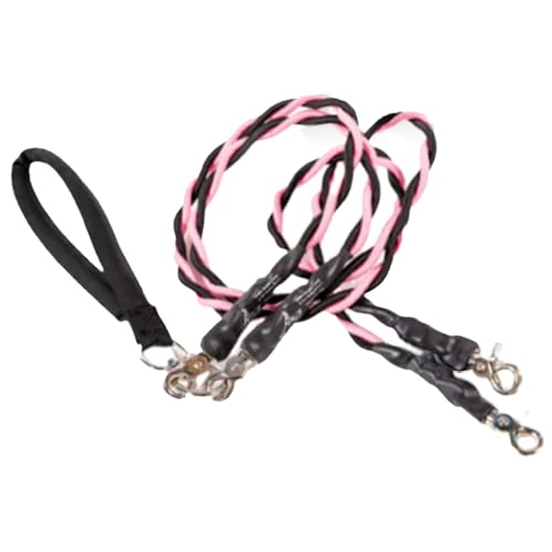 Hundeseil - Doppel Leine Für Gassigeh Spaziergang,Robustes strapazierfähiges Hundezubehör für Outdoor-Aktivitäten wie Park Training Spaziergänge mit sicherer Ausführung und Zerrfestigkeit von Generisch