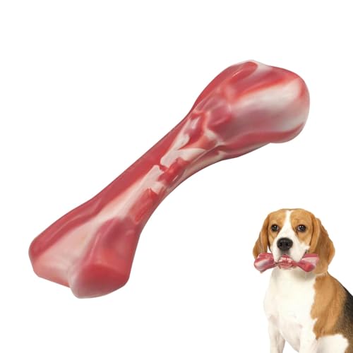 Hundespielzeug mit Knochen, Knochen für aggressive Kauer, Zahnbürste für Welpen, mittelgroße und große Hunderassen von Generisch