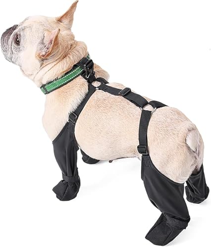 Hundestiefel mit Hosenträgern für kleine, mittelgroße und große Hunde - wasserdichte Hunde-Leggings mit verstellbaren Trägern, Anti-Rutsch-Potenschutz für Winterschnee, Allwetter-Stiefelüberzüge mit Hundestiefel mit Hosenträgern für kleine, mittelgroße und große Hunde - wasserdichte Hunde-Leggings mit verstellbaren Trägern, Anti-Rutsch-Potenschutz für Winterschnee, Allwetter-Stiefelüberzüge mit von Generisch
