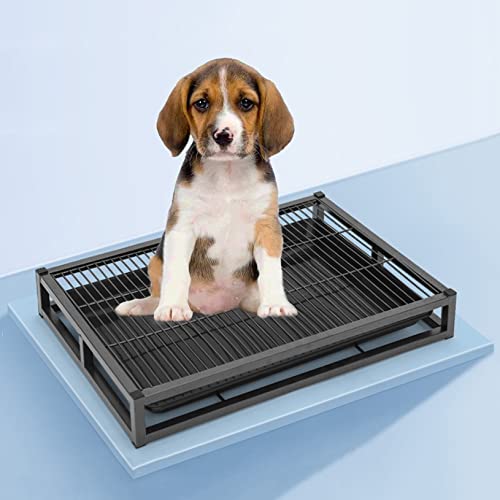 Hundetoilette aus Metall, Töpfchentrainingstablett mit herausziehbarer Wanne für drinnen und draußen, Welpenunterlagenhalter für einfache Einbruch in Wohnungen, Balkonen Hundetoilette aus Metall, Töpfchentrainingstablett mit herausziehbarer Wanne für drinnen und draußen, Welpenunterlagenhalter für einfache Einbruch in Wohnungen, Balkonen von Generisch