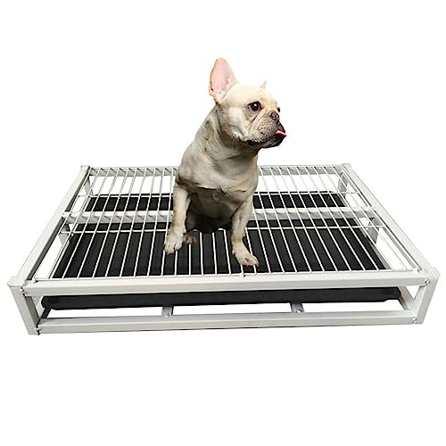 Hundetoilette aus Metall, für den Innenbereich, Welpentrainingstoilette, tragbare Haustier-Töpfchenunterlage, Hundetoilette, leicht zu reinigen, Klo-Haustiertoilette, für kleine mittelgroße Hunde Hundetoilette aus Metall, für den Innenbereich, Welpentrainingstoilette, tragbare Haustier-Töpfchenunterlage, Hundetoilette, leicht zu reinigen, Klo-Haustiertoilette, für kleine mittelgroße Hunde von Generisch