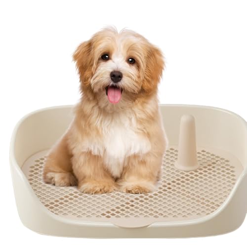 Hundetoilettenschale, Innenhunde-Toilette erhalten Sie einen problemlosen Pee-Pad-Halter für Innentoiletten. Jetzt pelzig, Open -Top -Eingangskatzeshalter, Pee Pad Halter für Welpen und kleine Hunde Hundetoilettenschale, Innenhunde-Toilette erhalten Sie einen problemlosen Pee-Pad-Halter für Innentoiletten. Jetzt pelzig, Open -Top -Eingangskatzeshalter, Pee Pad Halter für Welpen und kleine Hunde von Generisch