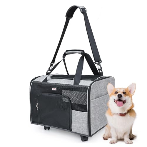 Hundeträger mit Rädern, Rolling Pet Carrier - Katzenträger mit Rädern mit Netzfensterseite | Umhängetasche atmungsaktive Kapazitätsanwendung für Hundepuppen -Kätzchenausflugsfahrzeugbus U -Bahn U -Bah von Generisch