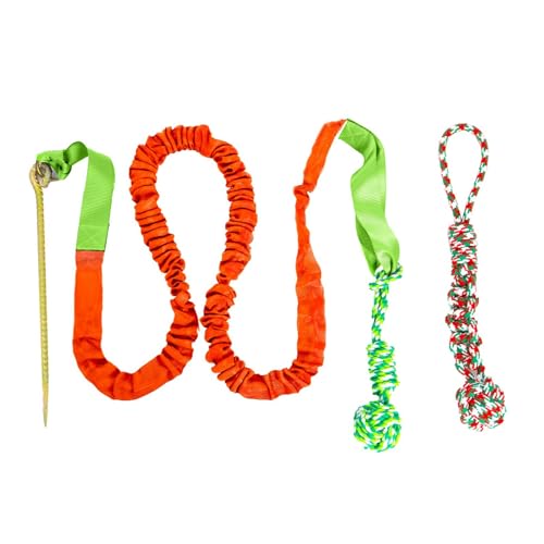 Hundezähne knirschen im Freien Tauziehen geknotetes Seil Bungee Hundespielzeug Outdoor Baumstumpf Seilspielzeug Katzenkratzbaum mini (C, One Size) von Generisch