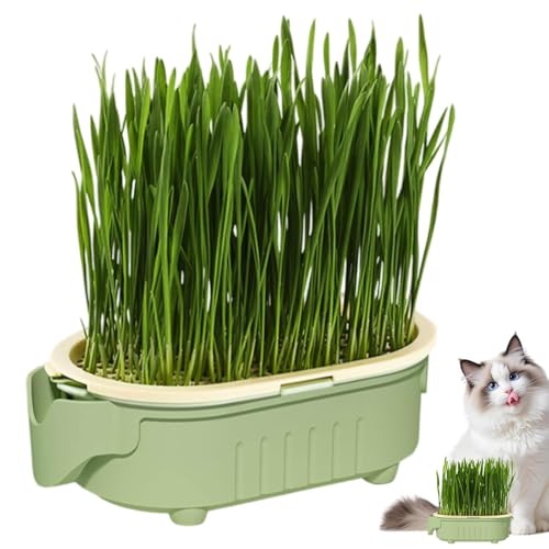 Hydroponischer Katzentopf für drinnen | Leichte Handhabung | Schichtdesign mit Belüftung | Platzsparend für Balkon & Fensterbank | Ideal für Kräuter & Katzengras Hydroponischer Katzentopf für drinnen | Leichte Handhabung | Schichtdesign mit Belüftung | Platzsparend für Balkon & Fensterbank | Ideal für Kräuter & Katzengras von Generisch