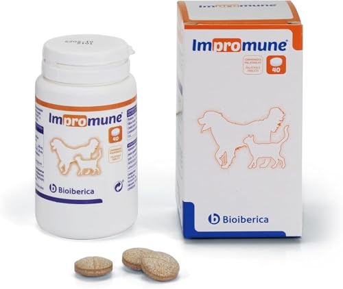 IMPROMUNE 40 comp. IMPROMUNE 40 comp. von Generisch