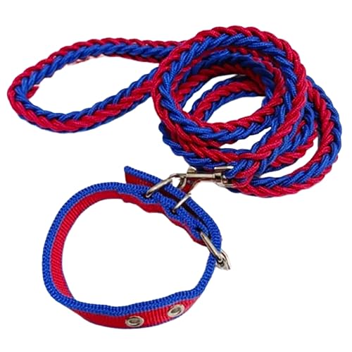 Im Set Geflochtene Strapazierfähige Hundeleine Plus Halsband, versch.Farben (M, Blau- Rot) von Generisch