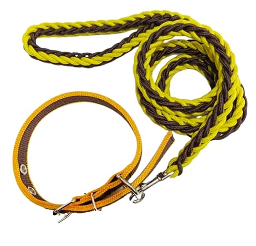 Im Set Geflochtene Strapazierfähige Hundeleine Plus Halsband, versch.Farben (XL, Gelb-Braun) von Generisch