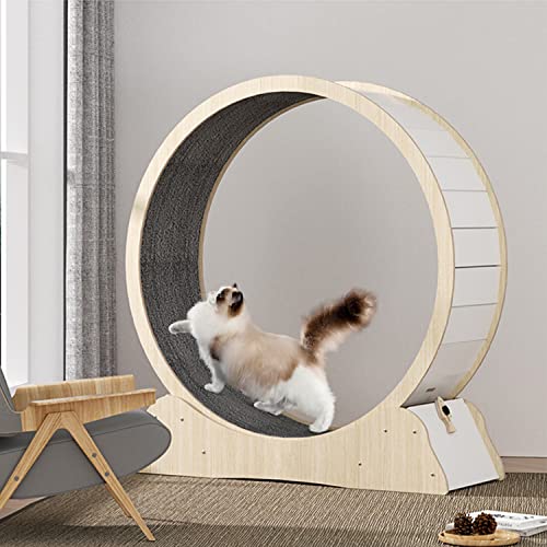Indoor Cat Exercise Wheel with Carpet Runway for Weight Loss and Fun, Durable Pet Treadmill Toy for Active Cats von Generisch