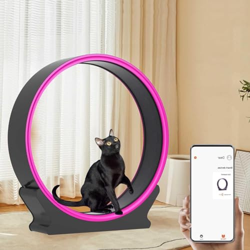 Indoor Cat Laufrad Schneckenform Laufband mit Kratzbaum & Aufbewahrung für aktive Katzen Indoor Cat Laufrad Schneckenform Laufband mit Kratzbaum & Aufbewahrung für aktive Katzen von Generisch