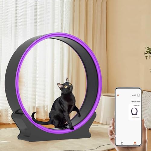 Indoor Cat Laufrad Schneckenform Laufband mit Kratzbaum & Aufbewahrung für aktive Katzen Indoor Cat Laufrad Schneckenform Laufband mit Kratzbaum & Aufbewahrung für aktive Katzen von Generisch