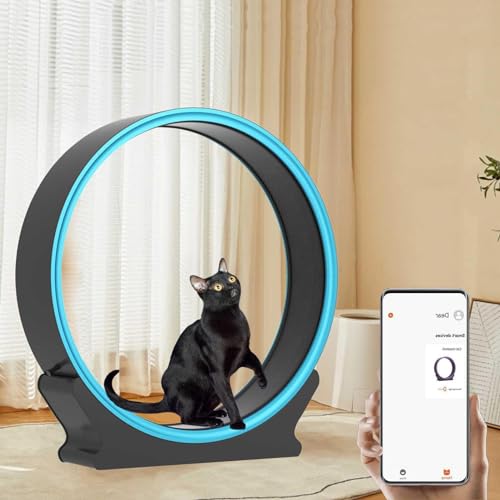 Indoor Cat Laufrad Schneckenform Laufband mit Kratzbaum & Aufbewahrung für aktive Katzen Indoor Cat Laufrad Schneckenform Laufband mit Kratzbaum & Aufbewahrung für aktive Katzen von Generisch