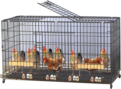 Indoor Outdoor Hühnerstall Geflügelkäfig mit Grasnest Rollen, Geräumiges Haus für 3-15 Hühner, langlebig und leicht zu reinigen von Generisch