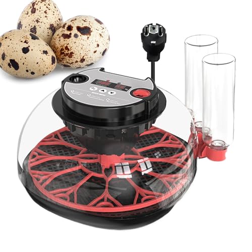 Inkubator für Eierschlüpfen - Hühnerei -Inkubator, Eier Inkubator Inkubator Automatische Wasserfüllung | Anbauwerkzeug mit transparentem Deckel, Design 12.01x7.68x12.4 von Generisch
