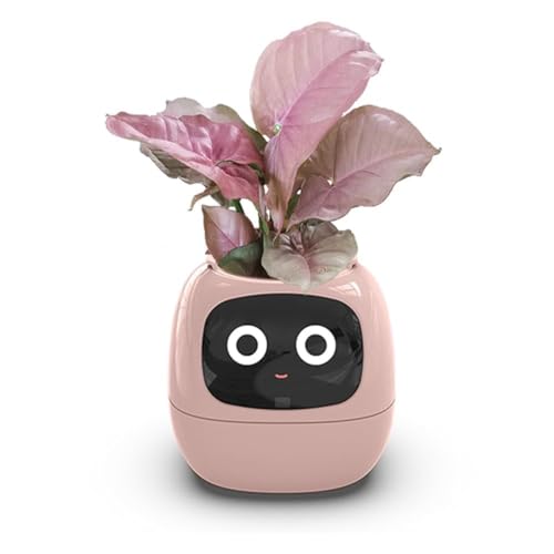 Intelligenter Blumentopf mit KI-Technologie – 7 Sensoren, LCD-Display für Zeit, Datum & Wetter, APP-gesteuert für optimale Indoor-Gartenarbeit Intelligenter Blumentopf mit KI-Technologie – 7 Sensoren, LCD-Display für Zeit, Datum & Wetter, APP-gesteuert für optimale Indoor-Gartenarbeit von Generisch