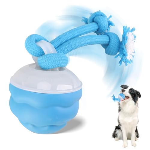 Interaktives Hundespielzeug, beweglicher Hundeball mit Touch-aktiviert, wiederaufladbar, bewegliches Kauspielzeug, aktiver Rollball für Welpen und mittelgroße Hunde (blau) von Generisch