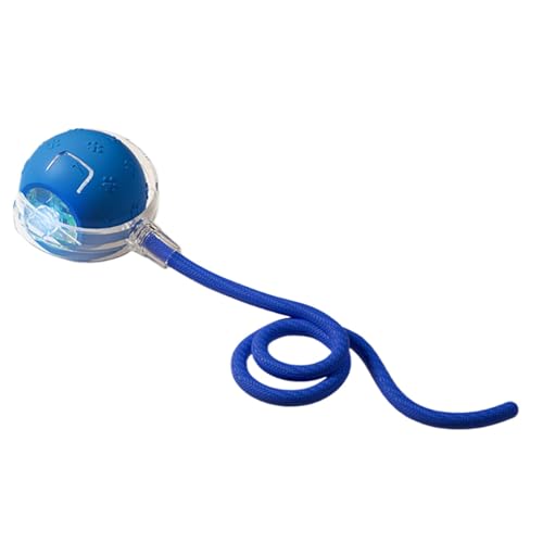Interaktives Katzenspielzeug – Katzenspielzeug Ball für Indoor-Katzen | Zwitschern und Bewegungsaktivieren | Kätzchenspielzeug | Katzenspielzeug Bälle | Schnell rollende interaktive Interaktives Katzenspielzeug – Katzenspielzeug Ball für Indoor-Katzen | Zwitschern und Bewegungsaktivieren | Kätzchenspielzeug | Katzenspielzeug Bälle | Schnell rollende interaktive von Generisch