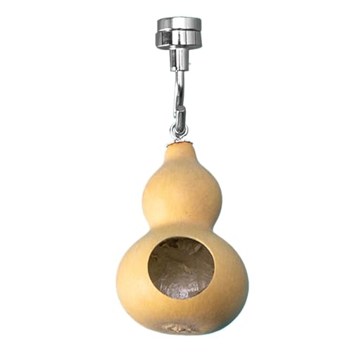 Jumping Spider House – Magnetisches Spinnenversteck Springer | Spinnenhöhle | Versteckte Spinnen mit Magnetismus | Freilaufgehege für natürliche Kürbisse für Ra Jumping Spider House – Magnetisches Spinnenversteck Springer | Spinnenhöhle | Versteckte Spinnen mit Magnetismus | Freilaufgehege für natürliche Kürbisse für Ra von Generisch