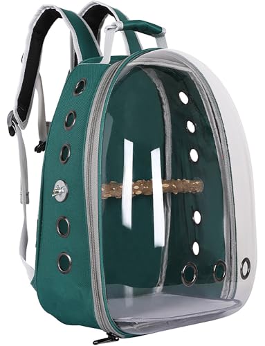 Käfig mit Sitzstange Tragetasche für kleine Tiere Transport für Vögel Belüftung transparenter Rucksack für Raumkapseln für Reisen, Wandern und den Außenbereich (Grün) von Generisch