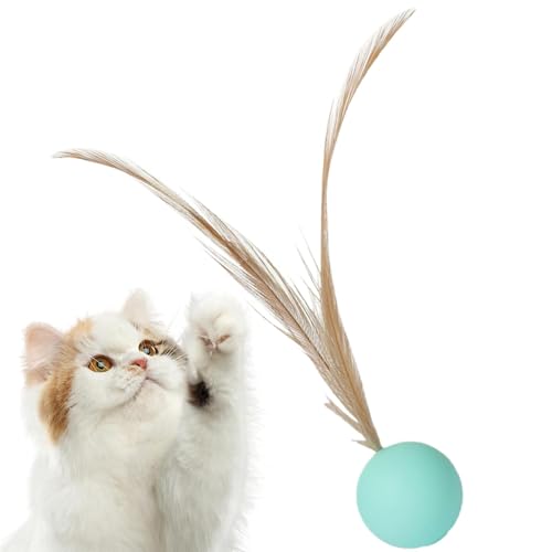 Kätzchenballspielzeug - Ballspielzeug Mit Feder | Langlebiger Flexibler Kau-sofestes Spielzeug-widerstandsfähige Sprungbreite Für Katzenspieltime, Interactive Pet Activity Accessoire | Stabil Erfasst von Generisch