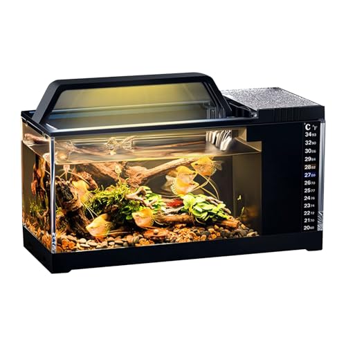 Kampffisch Aquarium - USB Fischbecken Mit Filter Und Beleuchtung | 11.81x5.12x7,28 Zoll Aquarium Beleuchtung Set | Komplettset Leiser Pumpe, Stilvolle Deko Für Schlafzimmer Wohnzimmer & Home-Office Kampffisch Aquarium - USB Fischbecken Mit Filter Und Beleuchtung | 11.81x5.12x7,28 Zoll Aquarium Beleuchtung Set | Komplettset Leiser Pumpe, Stilvolle Deko Für Schlafzimmer Wohnzimmer & Home-Office von Generisch