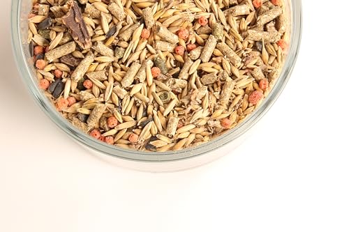 Kaninchenmix, Kaninchenfutter (10kg), Memmendorfer Kaninchenmix – Alleinfuttermittel für Hasen und Kaninchen, Proteinquelle, nachhaltig angebaut mit Luzerne aus Deutschland von Generisch