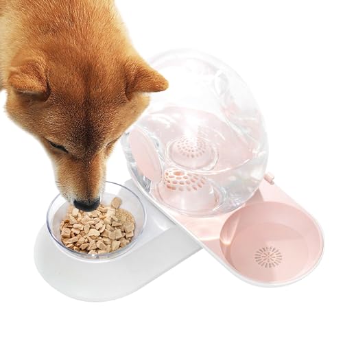 Katze Hund Wasserspender, Katzenfutterspender Wassernapf Spender, Automatischer Schneckenform Trinkbrunnen, Katzenfutterspender Wassernapfspender Katze Hund Wasserspender, Katzenfutterspender Wassernapf Spender, Automatischer Schneckenform Trinkbrunnen, Katzenfutterspender Wassernapfspender von Generisch