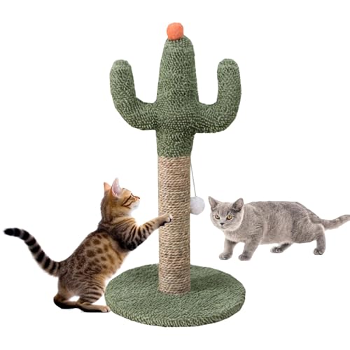 Katze Kratzerpfosten, Cactus Cat Scratcher,Süße Katzenkratzer Post | Stabiler Sisal -Nagelschärfer, Kätzchen -Kratzstangen mit interaktivem Ball für kleine Kätzchen von Generisch