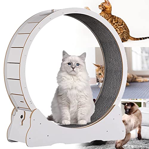 Katzen-Laufrad, robustes Laufband, geräuschlos, Rad mit Verriegelungsvorrichtung, keine Lückenübung für Indoor-Katzen, interaktives Gewichtsverlust-Spielzeug, Kätzchen, Weiß, S von Generisch