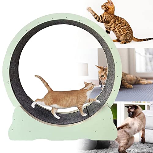 Katzen-Laufrad, robustes Laufband, geräuschlos, Rad mit Verriegelungsvorrichtung, keine Lückenübung für Indoor-Katzen, interaktives Gewichtsverlust-Spielzeug, Kätzchen, Weiß, S von Generisch