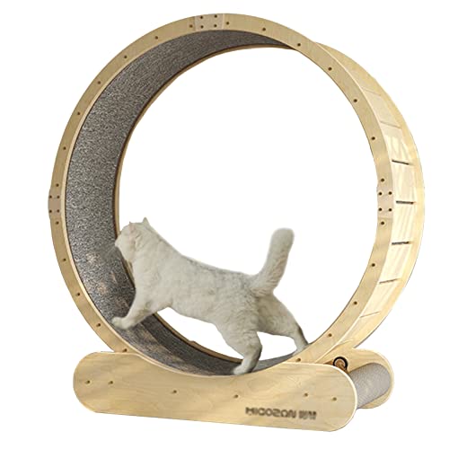 Katzen-Laufrad Laufband für Indoor-Katzen – Outdoor-Katzenlaufrad-Trainingsgerät – klein/mittel/groß – Katzenrad Übung Spinnspielzeug Katzen-Laufrad Laufband für Indoor-Katzen – Outdoor-Katzenlaufrad-Trainingsgerät – klein/mittel/groß – Katzenrad Übung Spinnspielzeug von Generisch
