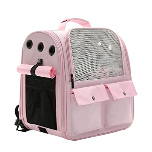Katzen-Outdoor-Tragetasche, atmungsaktiv, tragbar, Reise-Netzstoff, Stofftasche für Katzen, Hunde, Haustierbedarf, Haustier-Tragetasche für kleine Hunde, Haustier-Tragetasche, Organizer, Katzen-Outdoor-Tragetasche, atmungsaktiv, tragbar, Reise-Netzstoff, Stofftasche für Katzen, Hunde, Haustierbedarf, Haustier-Tragetasche für kleine Hunde, Haustier-Tragetasche, Organizer, von Generisch