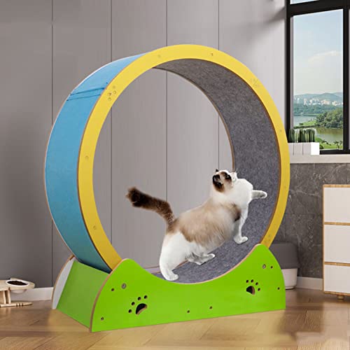 Katzen-Trainingsrad, Laufband Laufrad mit Teppichboden Landebahn, Trainingsgerät für Indoor-Katzen Kratzen und Nickerchen von Generisch