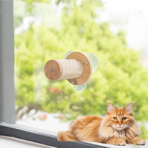 Katzen-Wandregale zum Ausruhen, platzsparendes Design, abgerundete Ecken, Saugnapfstütze, Tragkraft 44 lbs (20 kg), Maße 45,5 x 40 cm von Generisch