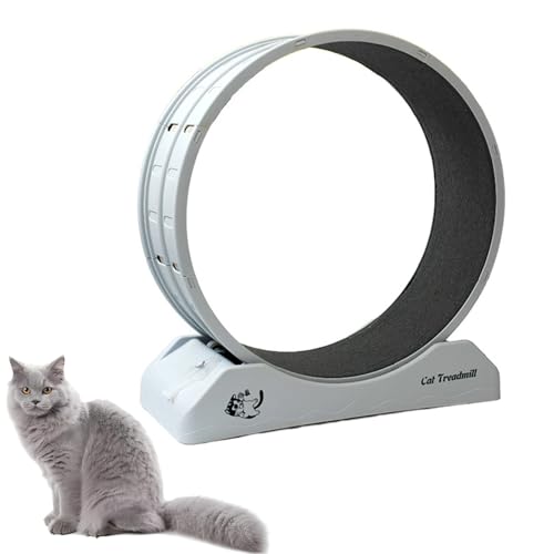 Katzen- und Hunde-Laufband-Übungsrad 31,5 "- Leises Laufrad mit verbesserter Rutschfester Basis, abnehmbare Teppichbahn für Haustiere im Innenbereich - Fitnessspielzeug zur Förderung Gesundheit(Grau) von Generisch