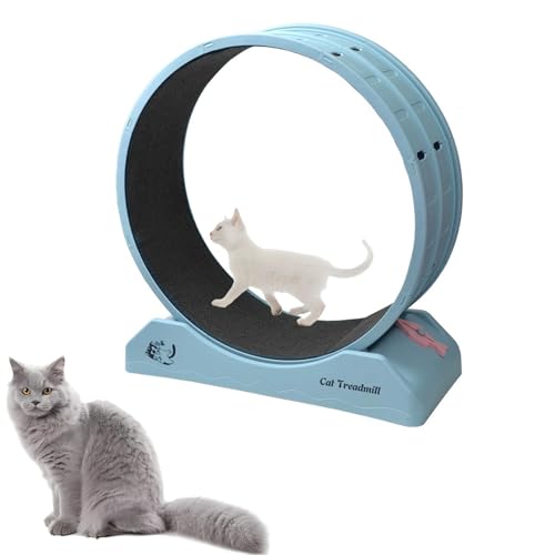 Katzen- und Hunde-Laufband-Übungsrad 31,5 "- Leises Laufrad mit verbesserter Rutschfester Basis, abnehmbare Teppichbahn für Haustiere im Innenbereich - Fitnessspielzeug zur Förderung Gesundheit(blau) von Generisch