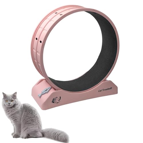 Katzen- und Hunde-Laufband-Übungsrad 31,5 "- Leises Laufrad mit verbesserter rutschfester Basis, abnehmbare Teppichbahn für Haustiere im Innenbereich - Fitnessspielzeug zur Förderung Gesundheit(Rosa.) von Generisch