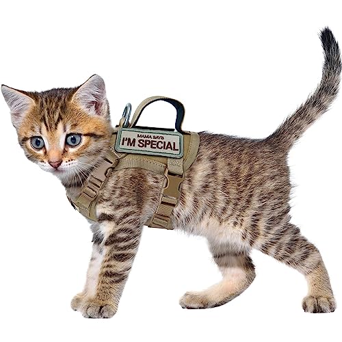 Katzengeschirr Escape Proof Adjustable Kitten Travel Vest mit Easy Control Handle no Pull only cat Small Katzengeschirr Escape Proof Adjustable Kitten Travel Vest mit Easy Control Handle no Pull only cat Small von Generisch