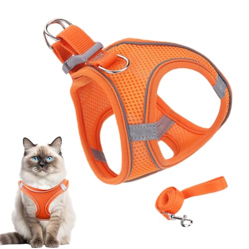 Katzengeschirr - Weiches Mesh-Geschirr Mit Reflektierenden Sicherheitsstreifen - Haustier Zubehör Für Sicherheit Training Reisen Wandern Rucksack Outdoor Abenteuer Katzengeschirr - Weiches Mesh-Geschirr Mit Reflektierenden Sicherheitsstreifen - Haustier Zubehör Für Sicherheit Training Reisen Wandern Rucksack Outdoor Abenteuer von Generisch
