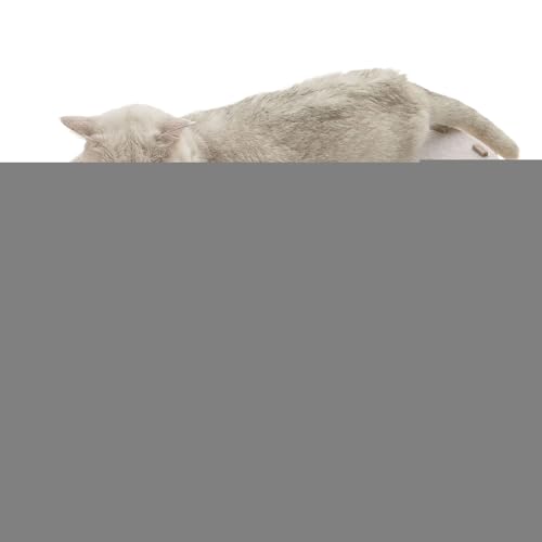 Katzenhöhle Donut - Fell Katzentunnel Donut Spielzeug - Abnehmbares Spielnest Für Zuhause Ruhe Schlaf Kleine Rassen Nickerchen Bewegung Draußen Kitten Winter Wohnung Katzenhöhle Donut - Fell Katzentunnel Donut Spielzeug - Abnehmbares Spielnest Für Zuhause Ruhe Schlaf Kleine Rassen Nickerchen Bewegung Draußen Kitten Winter Wohnung von Generisch