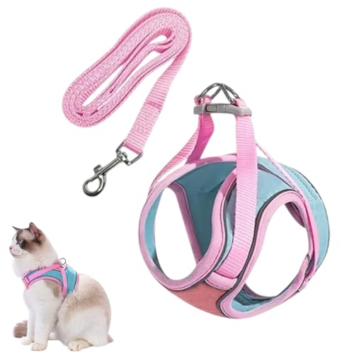 Katzenkabelbaum und Bleiset, kleines Hundekabelbaum, einstellbar, mit reflektierenden Streifen für Gehen, Innen- und Außenaktivitäten Katzenkabelbaum und Bleiset, kleines Hundekabelbaum, einstellbar, mit reflektierenden Streifen für Gehen, Innen- und Außenaktivitäten von Generisch