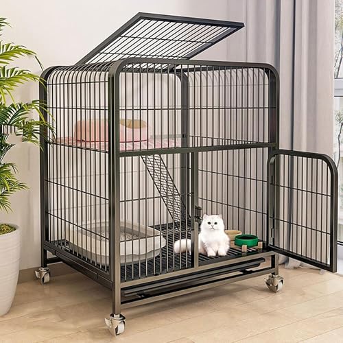 Katzenkäfig - Katzengehege 4 Universalrädern, Katzenkäfig Katzengehege Outdoor/Indoor Kleintierkäfig Katzen Transportbox Katze Gehege für Kleintiere Balkon Leicht Zu Montieren (Schwarz, Mittel) von Generisch