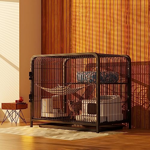 Katzenkäfig für den Innenbereich, Doppeltür-Design, Dachfenster und Tor, obere Ablage, leicht zu reinigen, Stoßstangenschloss – ideal, um Haustiere sicher in Ihrem Zuhause zu halten Katzenkäfig für den Innenbereich, Doppeltür-Design, Dachfenster und Tor, obere Ablage, leicht zu reinigen, Stoßstangenschloss – ideal, um Haustiere sicher in Ihrem Zuhause zu halten von Generisch