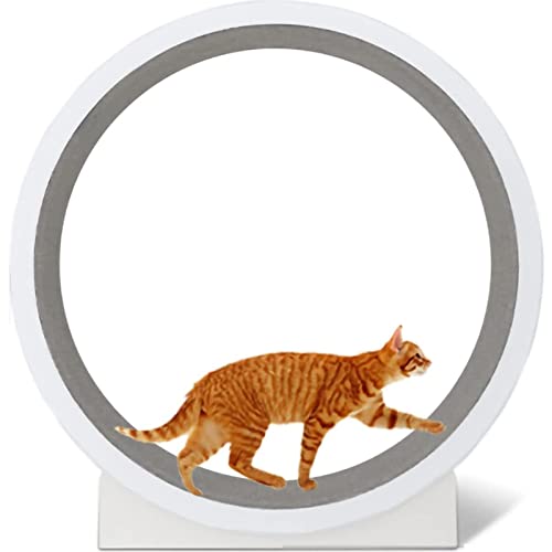 Katzenlaufband Automatisches Interaktives Katzenspielzeug - Indoor Katzenlaufrad für Übung, Spinning, Kratzen, Klettern - Geräuscharmes Katzenrißrad Katzenlaufband Automatisches Interaktives Katzenspielzeug - Indoor Katzenlaufrad für Übung, Spinning, Kratzen, Klettern - Geräuscharmes Katzenrißrad von Generisch