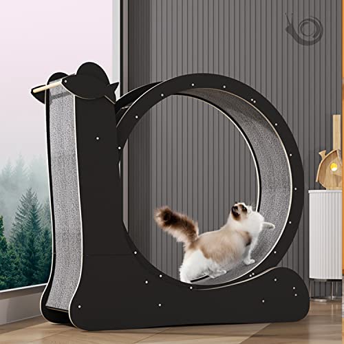 Katzenlaufband Gewichtsverlust Gerät Indoor Laufrad mit Fleece Pad für Katzen Spezielles Sportspielzeug und Roller für Indoor Pet Übung und Spaß von Generisch