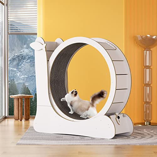Katzenlaufband Gewichtsverlust Gerät Indoor Laufrad mit Fleece Pad für Katzen Spezielles Sportspielzeug und Roller für Indoor Pet Übung und Spaß von Generisch