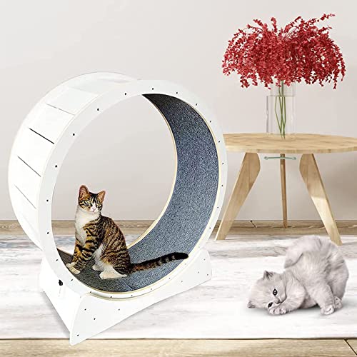 Katzenlaufband ohne Lücken-Design, Laufrad, Fitness, Gewichtsverlustgerät, leiser und stabiler Hamster für Kätzchen, geräuscharm, niedliches Möbelzentrum/mittelgroße und große Katzen, Weiß-XL von Generisch