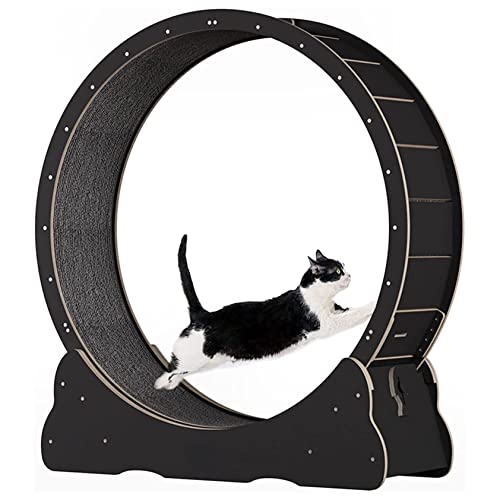 Katzenlaufband ohne Lücken-Design, Laufrad, Fitness, Gewichtsverlustgerät, leiser und stabiler Hamster für Kätzchen, geräuscharm, niedliches Möbelzentrum/mittelgroße und große Katzen, Weiß-XL von Generisch